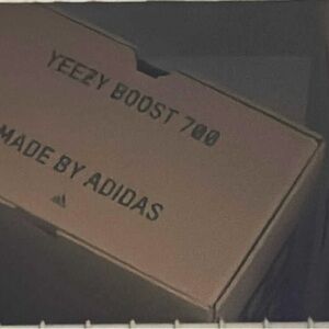 Yeezy Light Gray Low-Top Sneaker Interior View